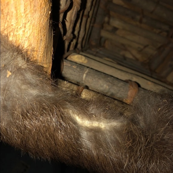 Folk Art Hanging BULL BASKET/PLANTER Made From Wood Wicker Bark Fiber Feathers & - Picture 4 of 16